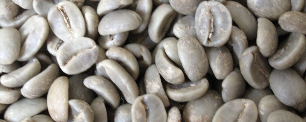Brazilian arabica vs Ethiopian Colombian coffee green beans comparison