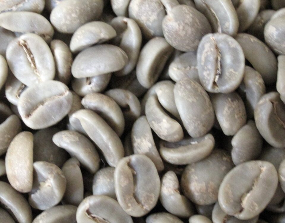 Brazilian arabica vs Ethiopian Colombian coffee green beans comparison